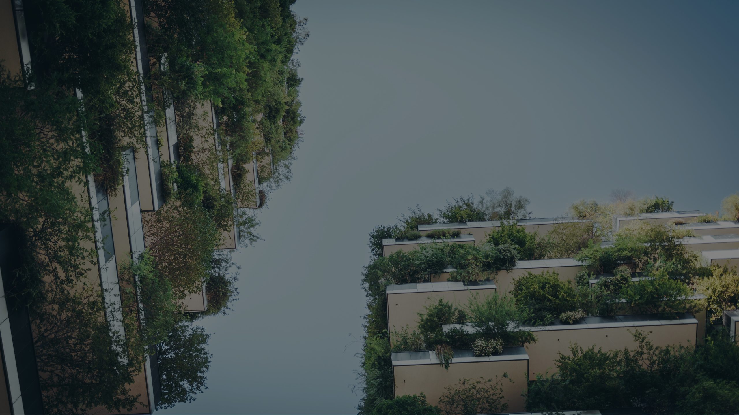 investissement immobilier