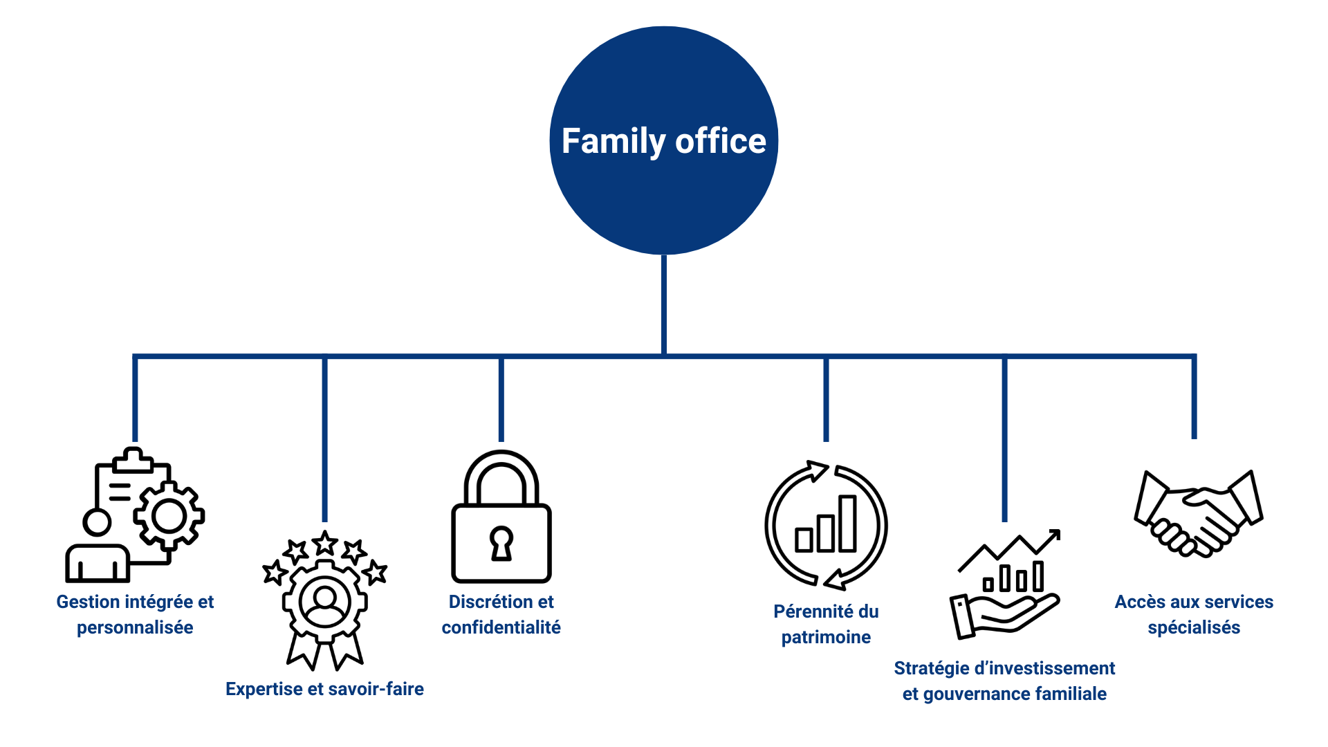 graphique qui présente les compétences du family office