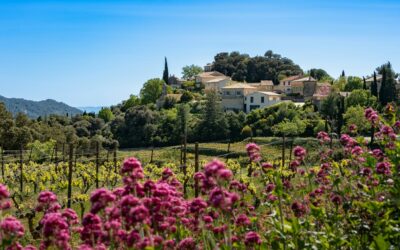 Les meilleurs cabinets de gestion de patrimoine d’Aix-en-Provence