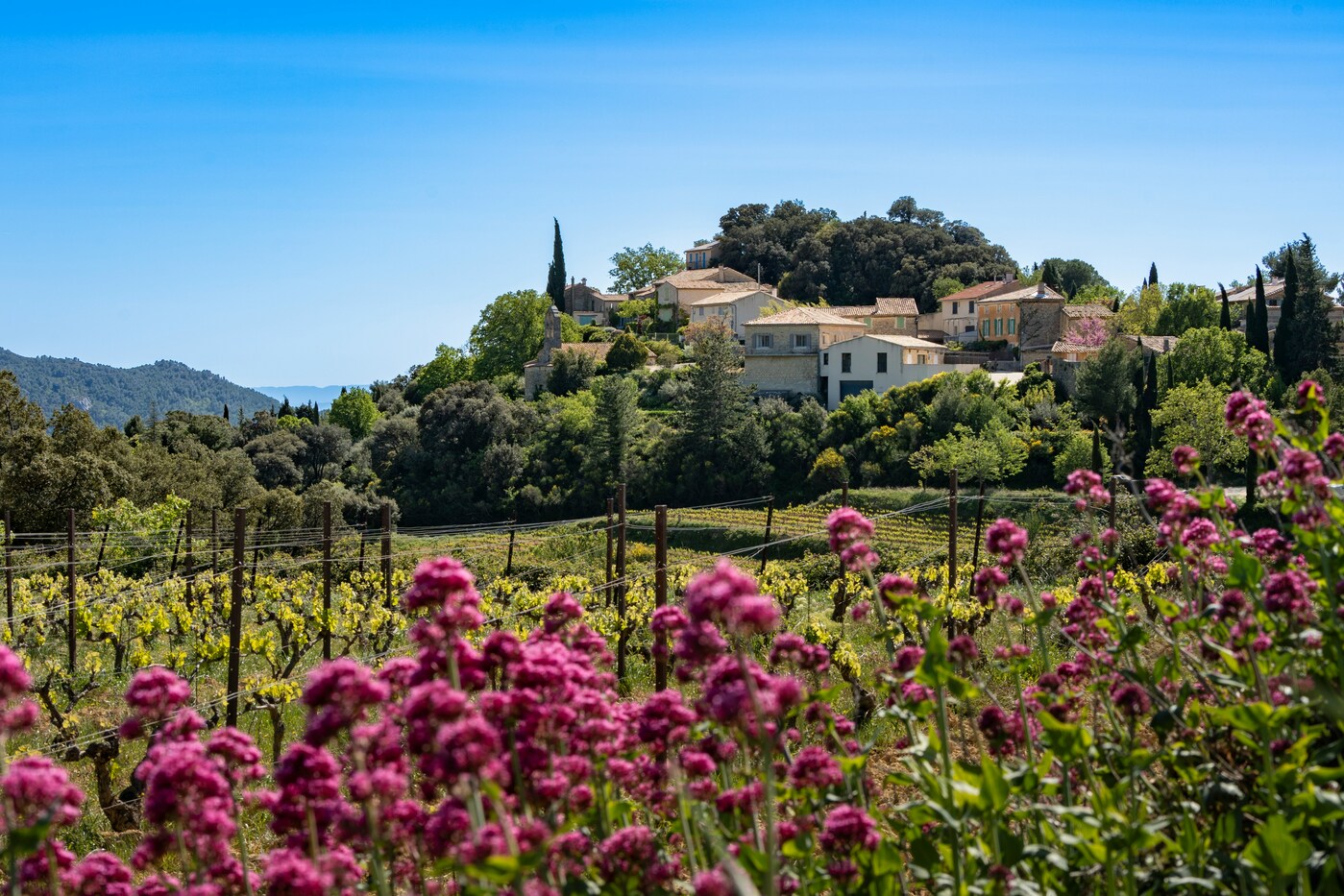 Les meilleurs cabinets de gestion de patrimoine d&rsquo;Aix-en-Provence