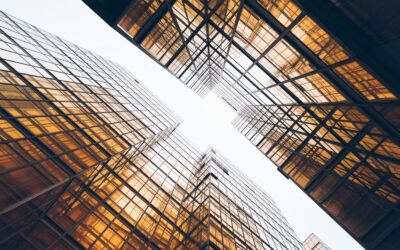 IA ou Cabinet de Gestion de Patrimoine ?